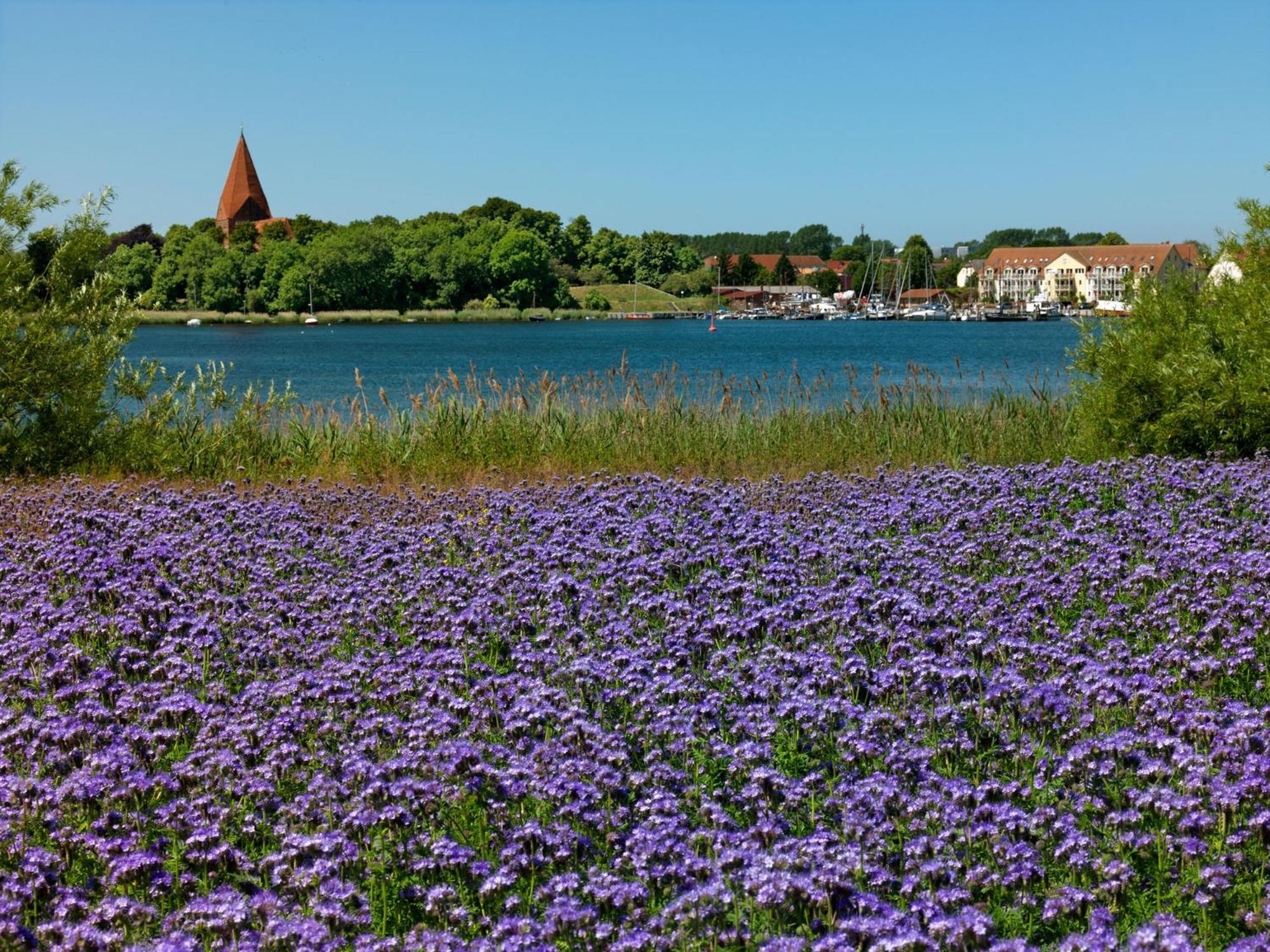 Daenisches Ferienhaus Kaltenhof Bagian luar foto