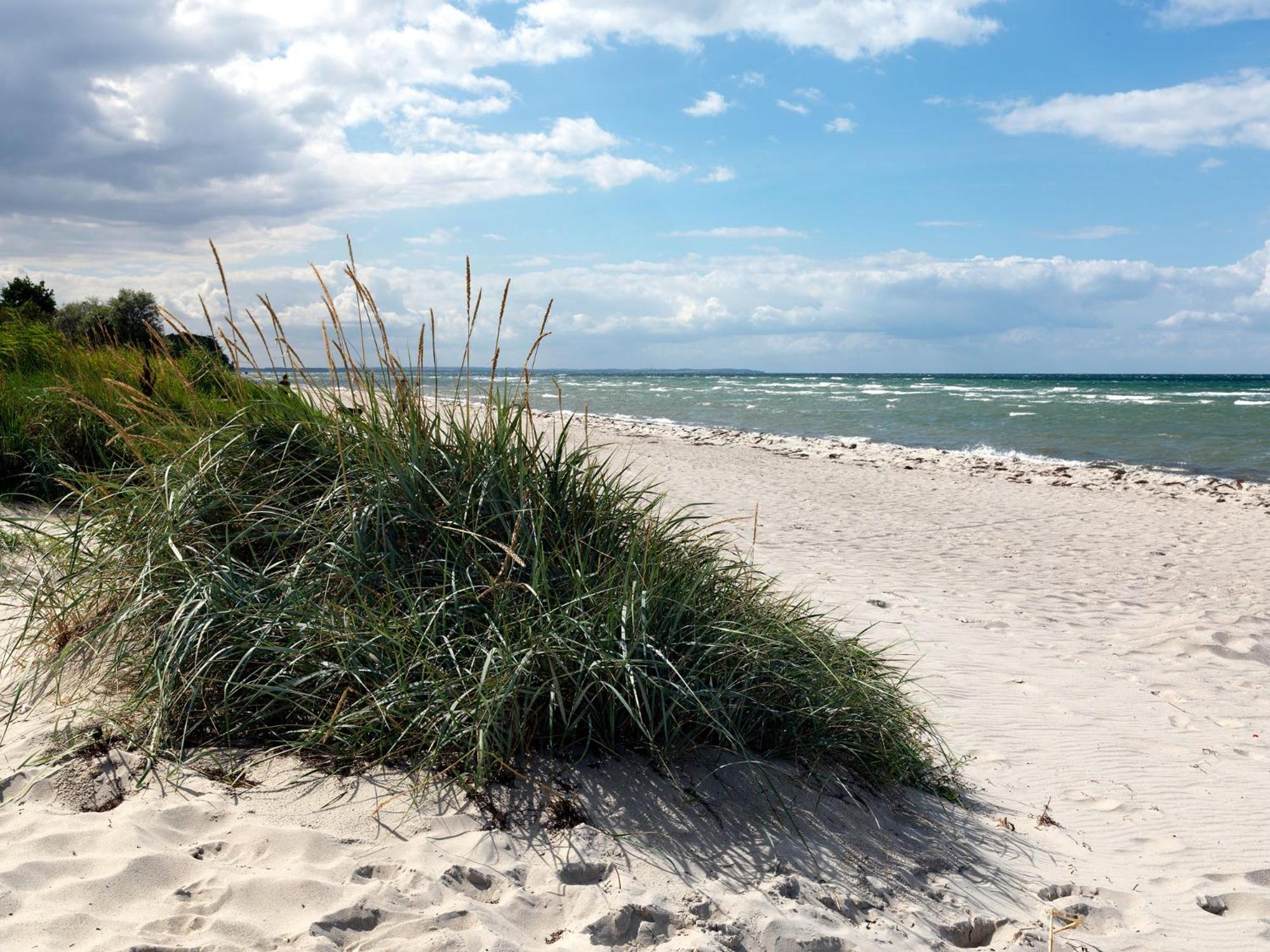 Daenisches Ferienhaus Kaltenhof Bagian luar foto